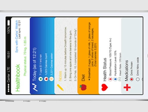 Apple healthbook mock-up